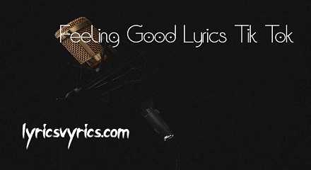 Feeling Good Lyrics Tik Tok | Lyricsvyrics