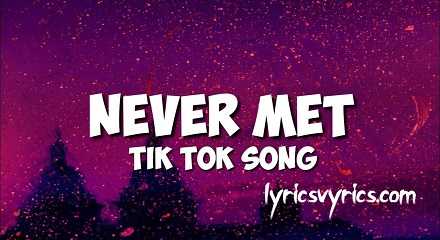I Wish We Never Met TikTok Lyrics | Lyricsvyrics