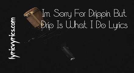Im Sorry For Drippin But Drip Is What I Do Lyrics | Lyricsvyrics