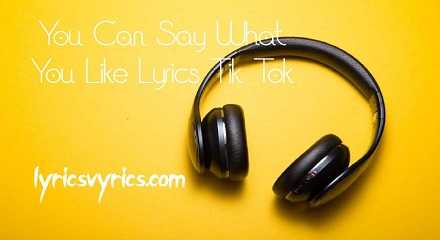 You Can Say What You Like Lyrics Tik Tok | Lyricsvyrics