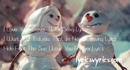 I Love You Forever TikTok Song Lyrics | I Want You To Know That Im Never Leaving Lyrics | Hide From The Sun I Love You Forever Lyrics