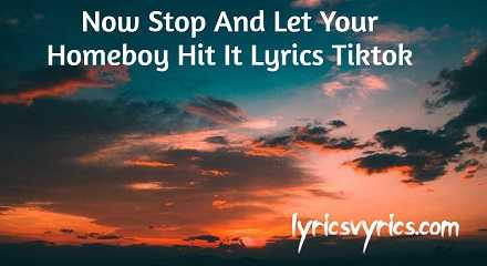 Now Stop And Let Your Homeboy Hit It Lyrics Tiktok