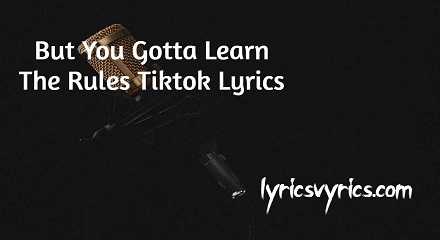 But You Gotta Learn The Rules Tiktok Lyrics