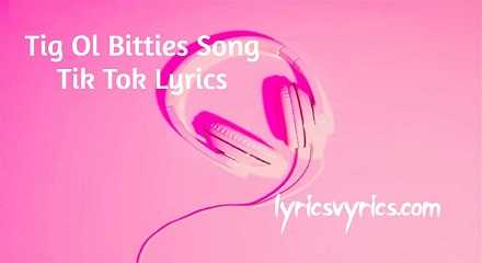 Tig Ol Bitties Song Tik Tok Lyrics