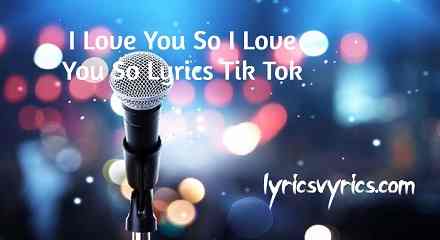 I Love You So I Love You So Lyrics Tik Tok
