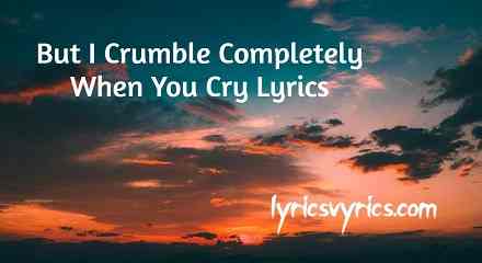 But I Crumble Completely When You Cry Lyrics