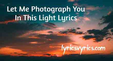 Let Me Photograph You In This Light Lyrics