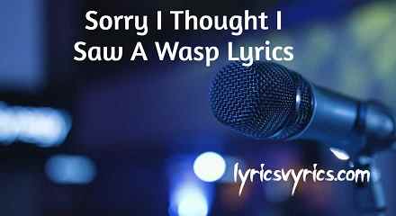 Sorry I Thought I Saw A Wasp Lyrics