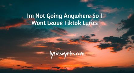 Im Not Going Anywhere So I Wont Leave Tiktok Lyrics