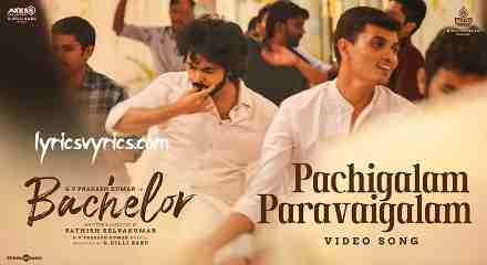 Pachigalam Paravaigalam Song Lyrics Meaning in English