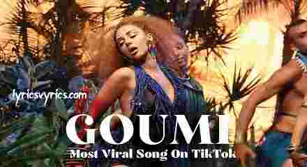 Gomi Gomi Song Lyrics & Meaning