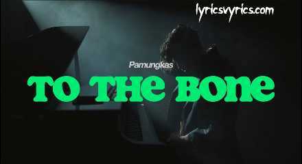 to the bone song lyrics meaning