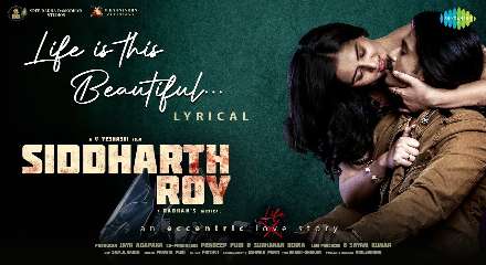 Life Is This Beautiful Lyrics Meaning & Translation In English- Siddharth Roy